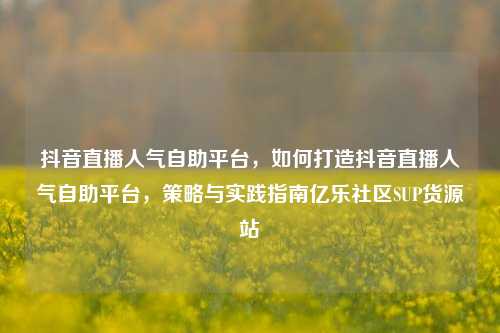 抖音直播人气自助平台，如何打造抖音直播人气自助平台	，策略与实践指南亿乐社区SUP货源站  第1张