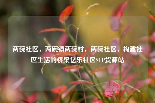 两碗社区，两碗镇两碗村，两碗社区	，构建社区生活的桥梁亿乐社区SUP货源站  第1张