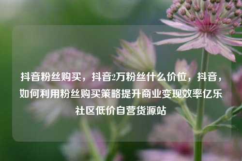 抖音粉丝购买	，抖音2万粉丝什么价位，抖音，如何利用粉丝购买策略提升商业变现效率亿乐社区低价自营货源站  第1张