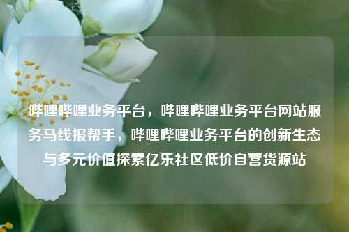 哔哩哔哩业务平台	，哔哩哔哩业务平台网站服务马线报帮手，哔哩哔哩业务平台的创新生态与多元价值探索亿乐社区低价自营货源站  第1张